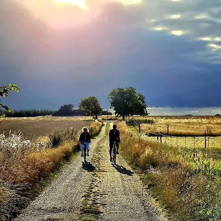 10085-1-nykobing-sj-ostvej-16